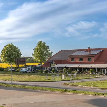 Mueritznest Am Mueritzufer In *